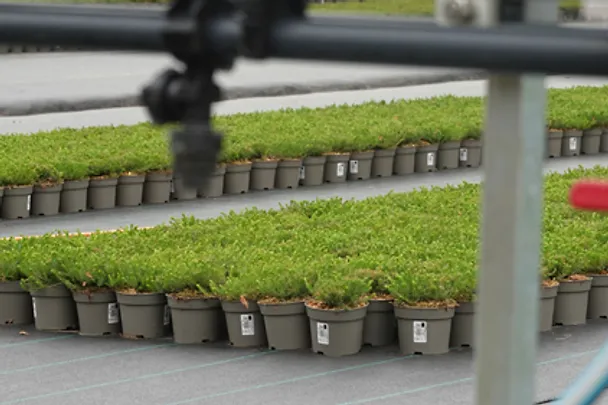 Ascophos Gießverfahren Ascophos Gießverfahren