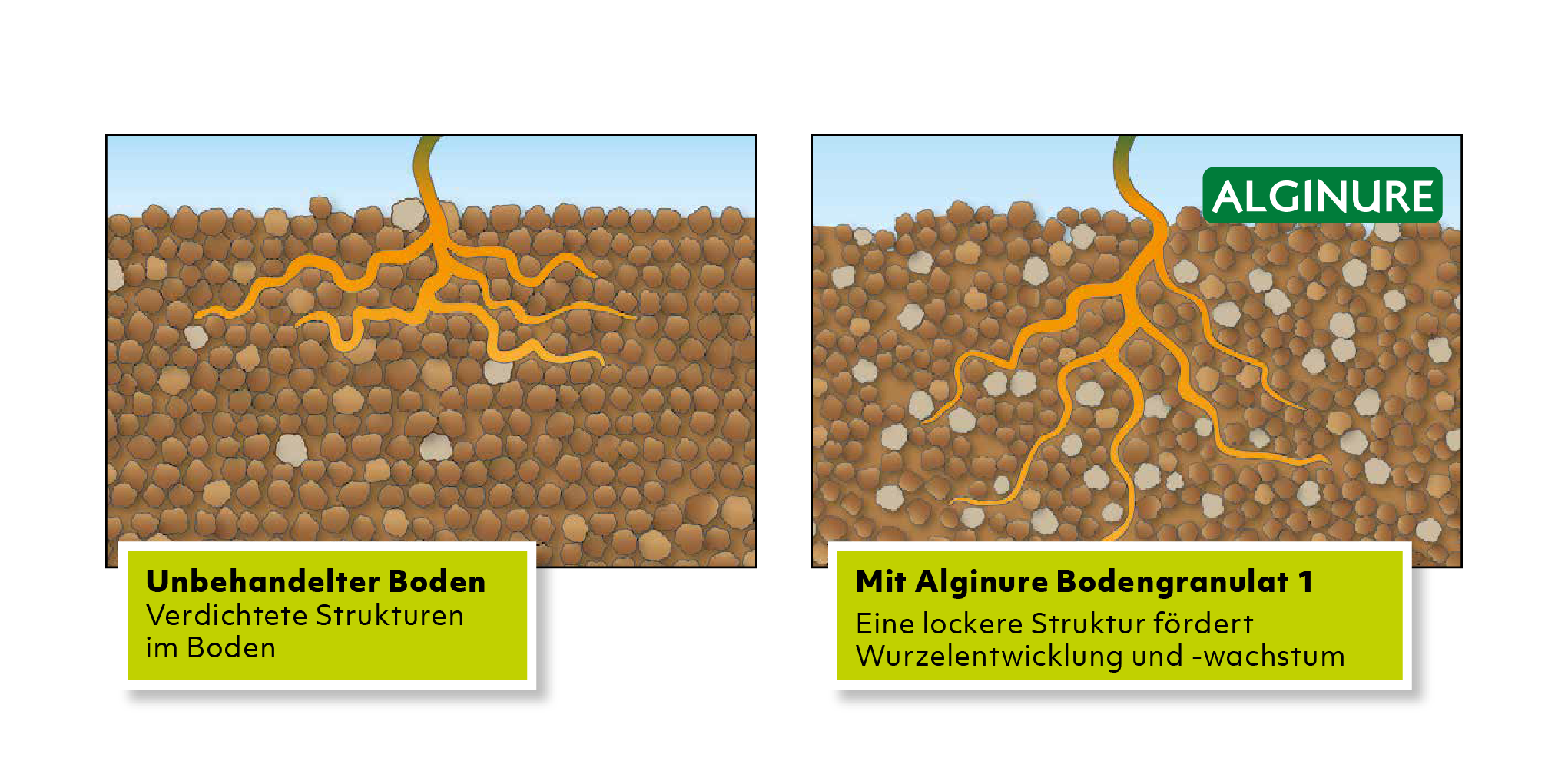 Bodengranulat, Bodenstrukturen Bodengranulat, Bodenstrukturen