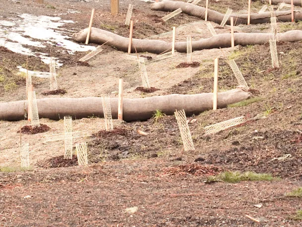 Erosionsschutz Erosionsschutz