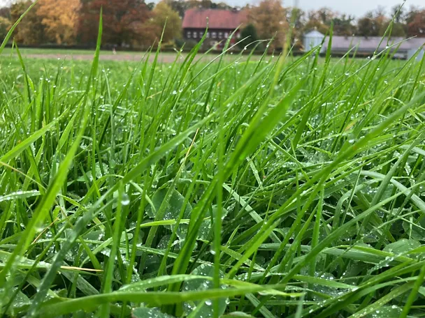 tilco_greenstar_intensiv_plus_231113_1920x1440_72dpi tilco_greenstar_intensiv_plus_231113_1920x1440_72dpi