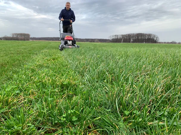 tilco_greenstar_erster_schnitt_1920x1440_72dpi tilco_greenstar_erster_schnitt_1920x1440_72dpi