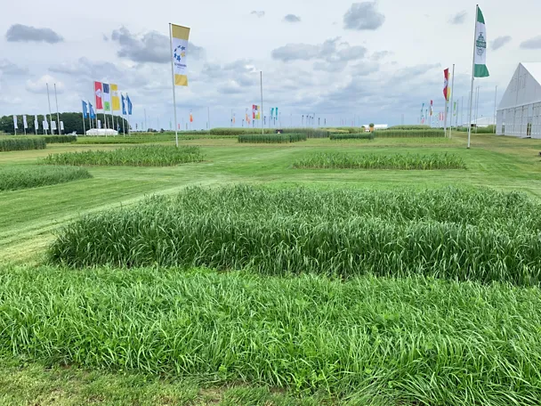 tilco_greenstar_flaeche_1wovs_1920x1440_72dpi tilco_greenstar_flaeche_1wovs_1920x1440_72dpi