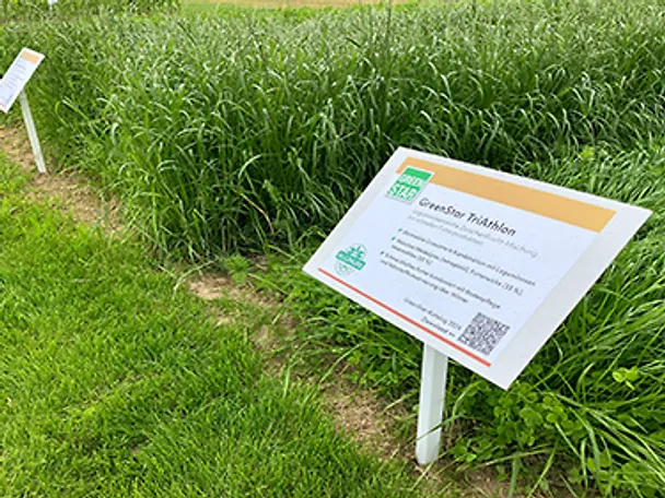 tico_greenstar_fläche_100624_500x281_72dpi Kopie tico_greenstar_fläche_100624_500x281_72dpi Kopie