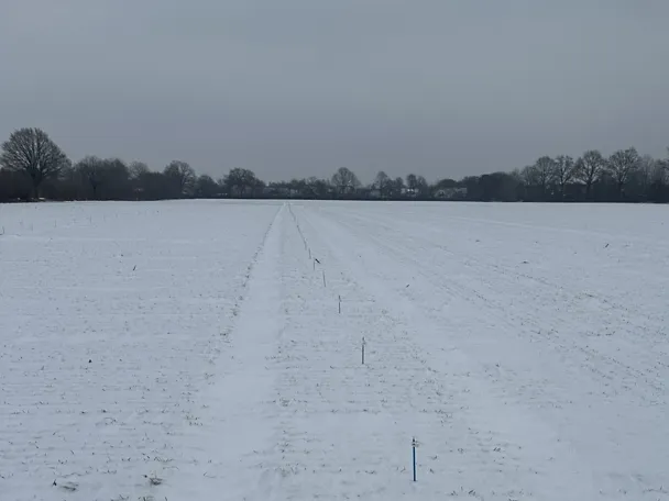 Wintergersten-Exaktversuch auf Gut Hülsenberg im Winter 2026 Wintergersten-Exaktversuch auf Gut Hülsenberg im Winter 2026