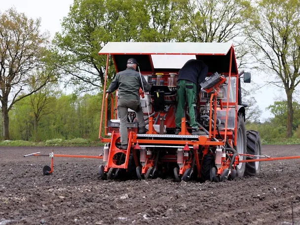 Parzellen-Drillmaschine im Mais Parzellen-Drillmaschine im Mais